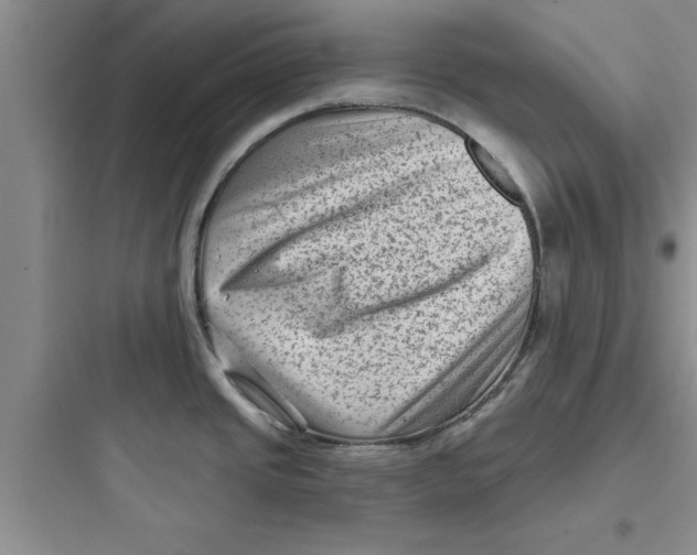 X0000097611437200803211713