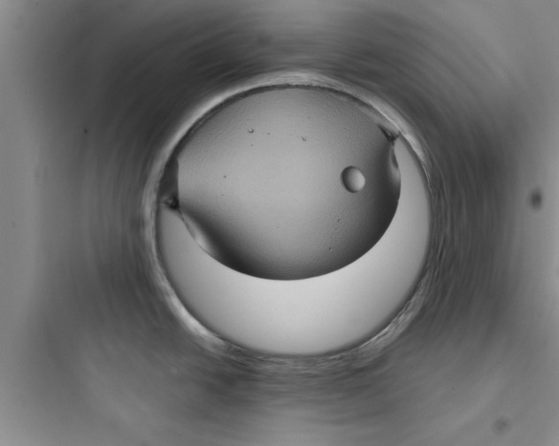 X0000097611438200803211713