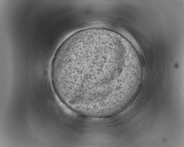 X0000097611439200803211713