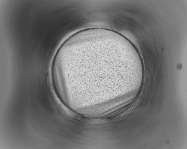 X0000097611440200803211713