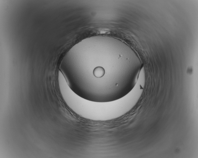 X0000097611442200803211712