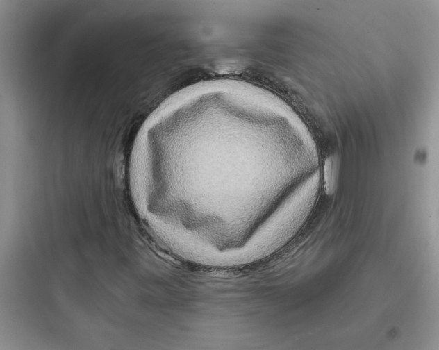 X0000097611443200803211712