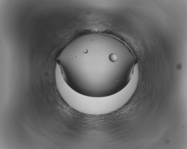 X0000097611444200803211712