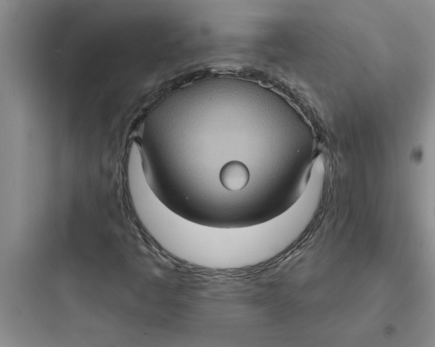 X0000097611445200803211712