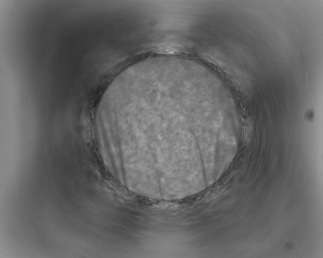 X0000097611446200803211712