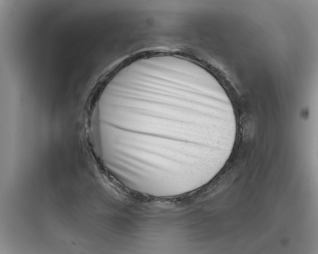 X0000097611448200803211712