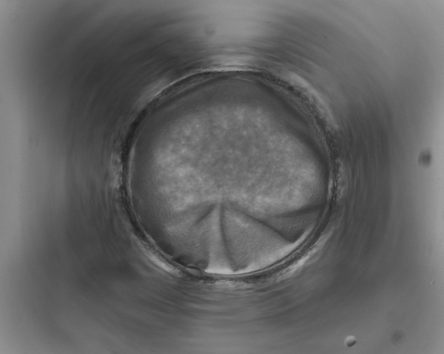 X0000097611449200803211712