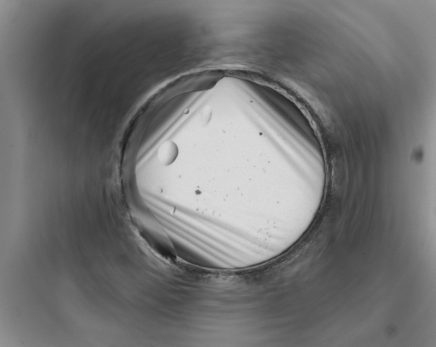 X0000097611452200803211712