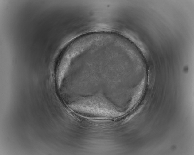 X0000097611453200803211712