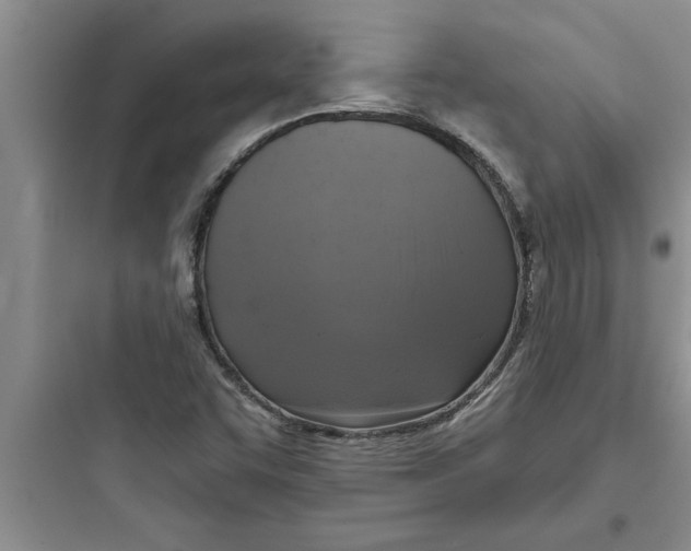 X0000097611455200803211712