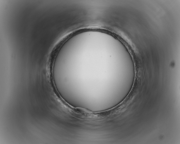 X0000097611456200803211712