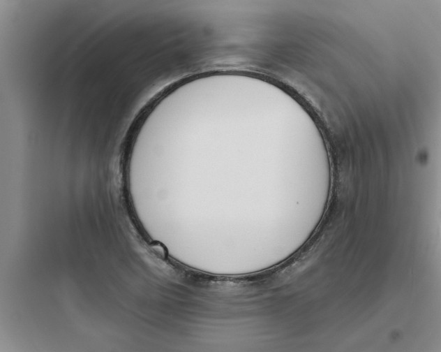 X0000097611458200803211712