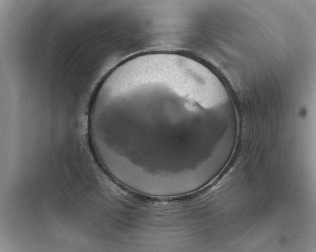 X0000097611459200803211712