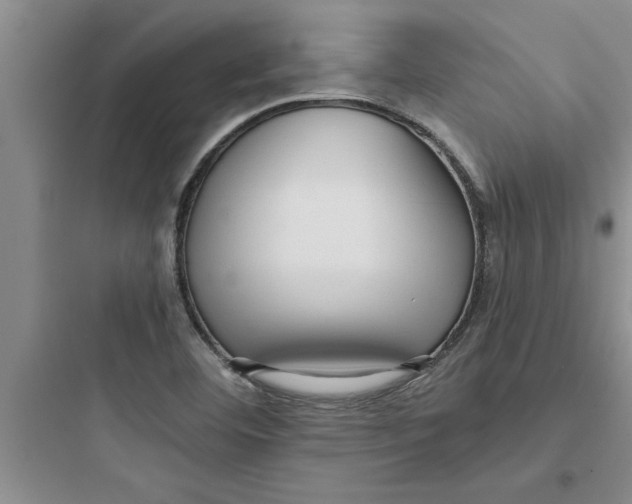 X0000097611460200803211712