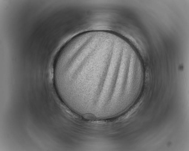 X0000097611461200803211712