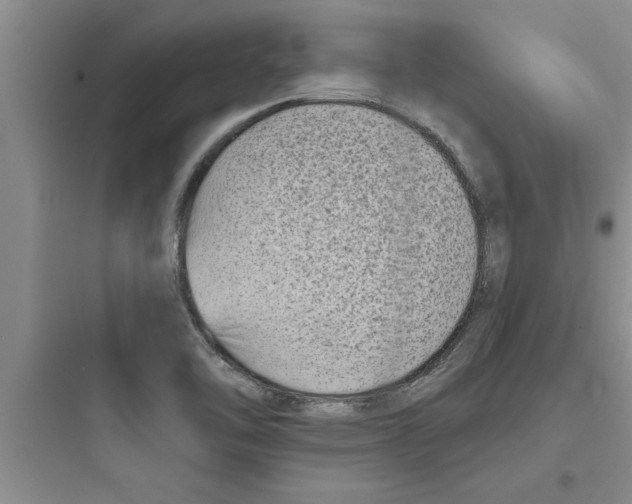 X0000097611462200803211712