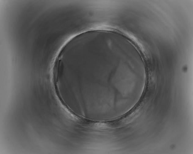 X0000097611463200803211712