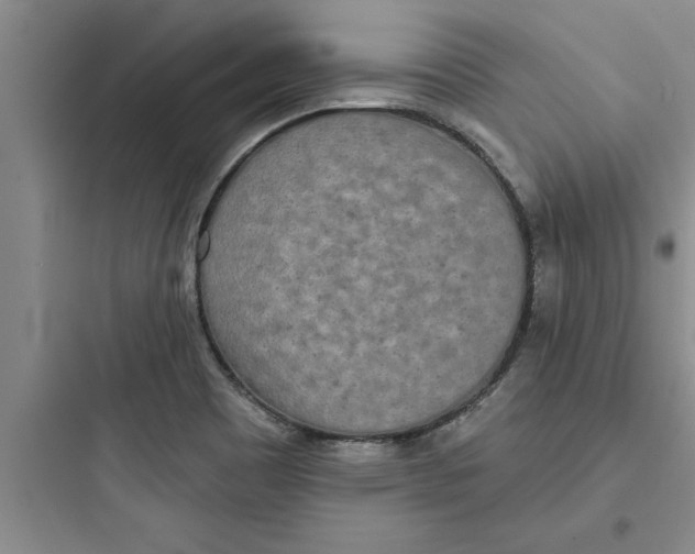 X0000097611465200803211712