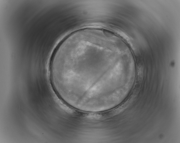 X0000097611466200803211712