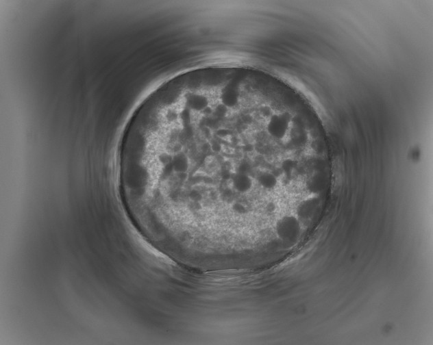 X0000097611467200803211712