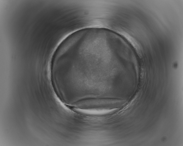 X0000097611468200803211712