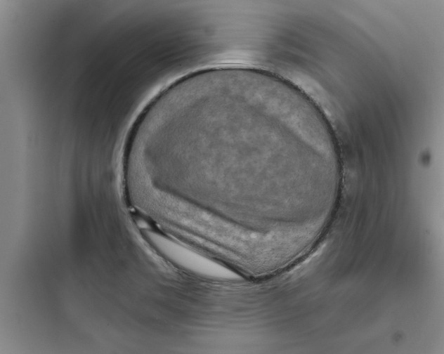 X0000097611469200803211712