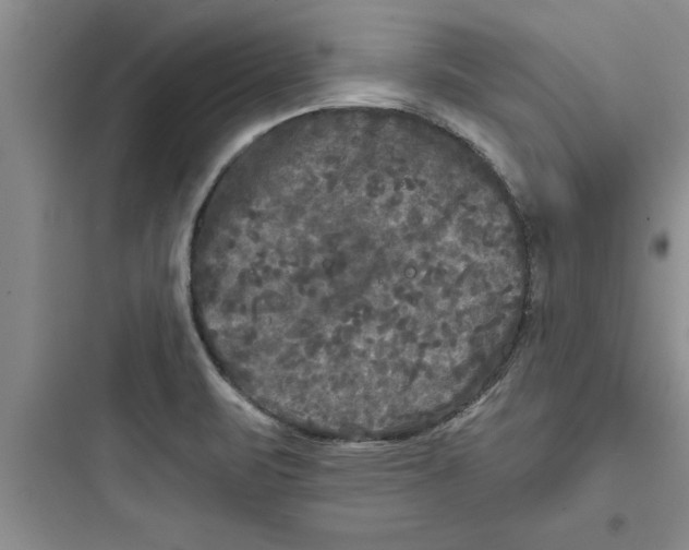 X0000097611471200803211712