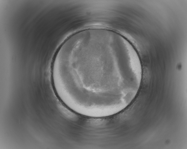 X0000097611474200803211712