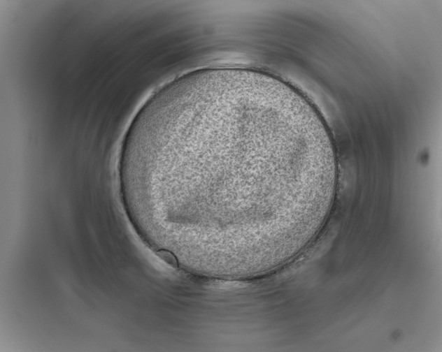 X0000097611475200803211712