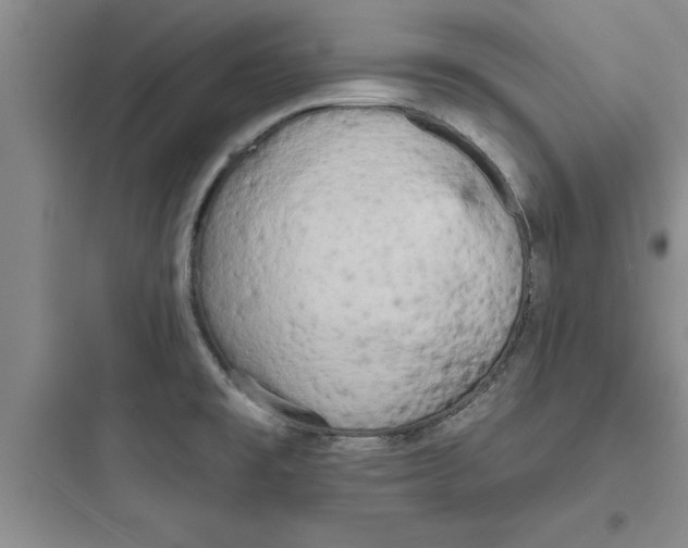 X0000097611477200803211712