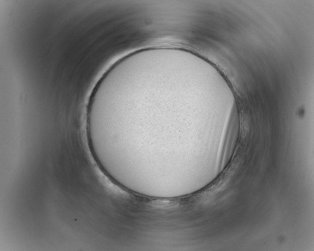 X0000097611478200803211712