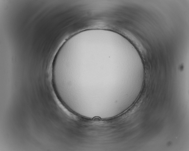 X0000097611479200803211712