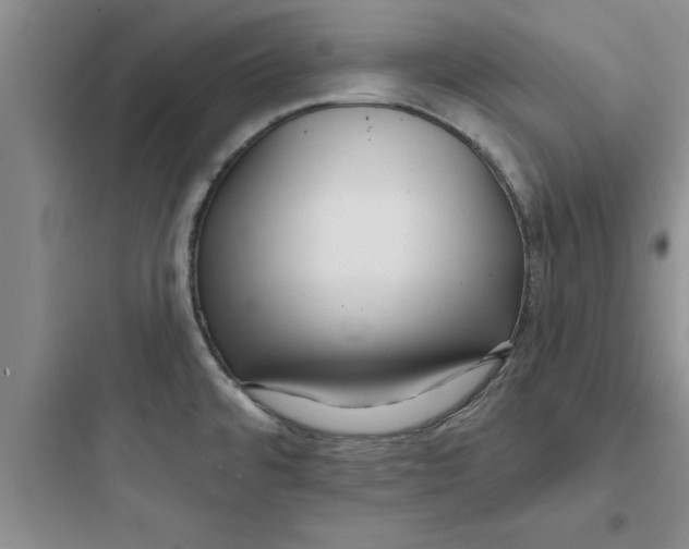 X0000097611480200803211712