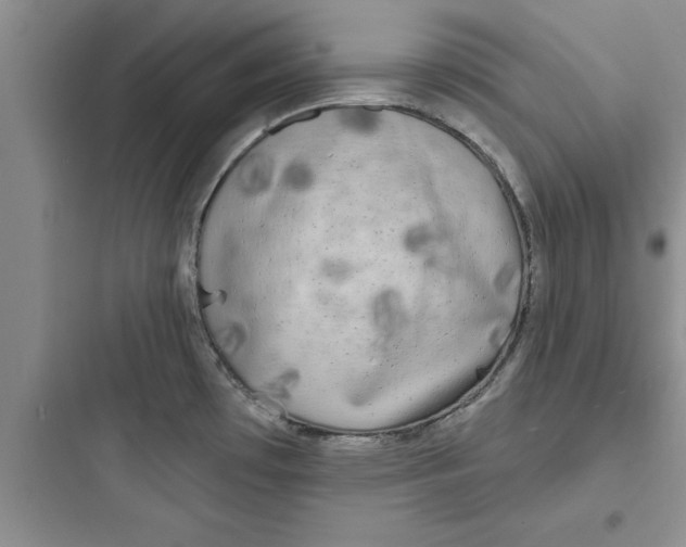 X0000097611481200803211712