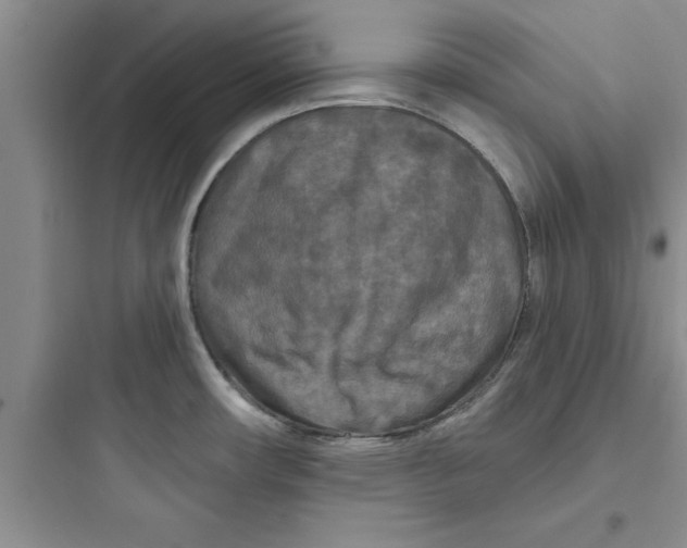 X0000097611482200803211712