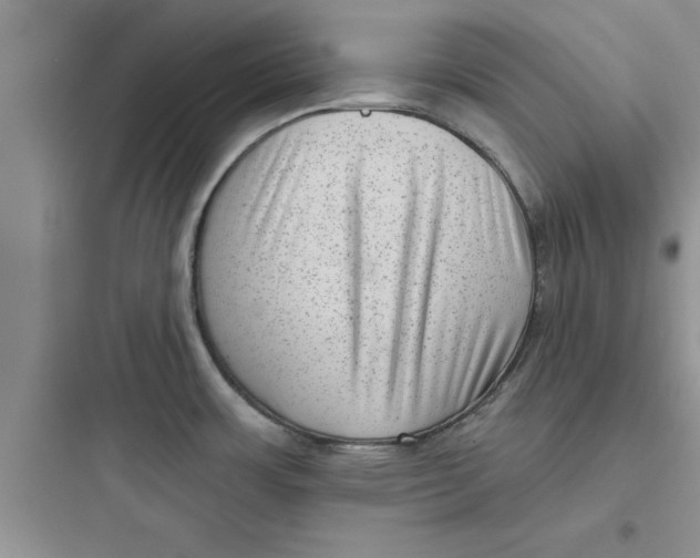 X0000097611483200803211711