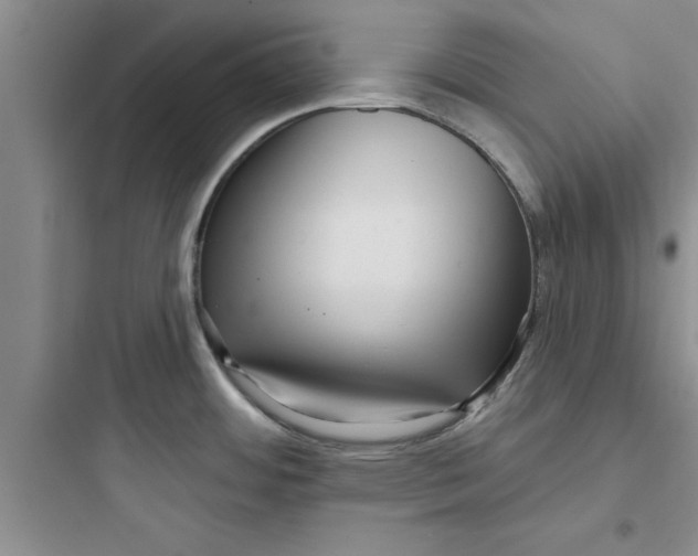 X0000097611484200803211711