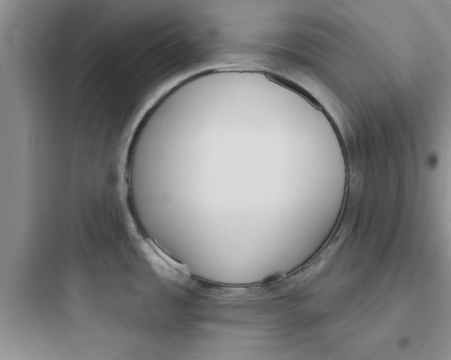 X0000097611485200803211711