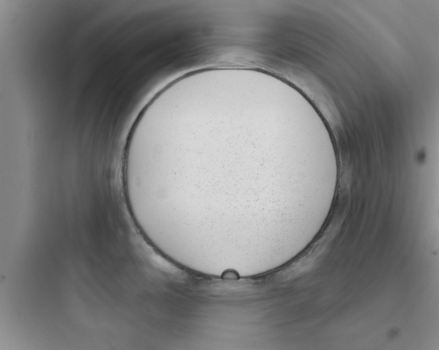 X0000097611486200803211711