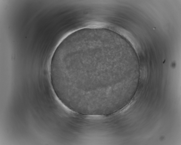 X0000097611487200803211711