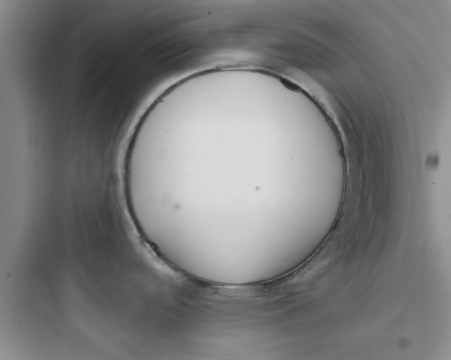 X0000097611488200803211711