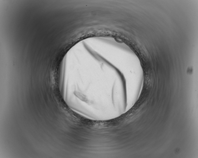 X0000097611490200803211711