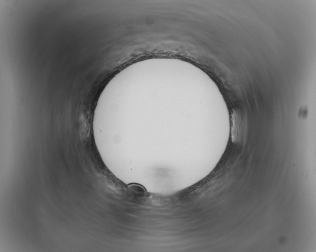 X0000097611491200803211711