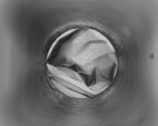 X0000097611494200803211711