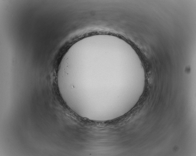 X0000097611495200803211711