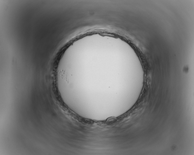 X0000097611496200803211711