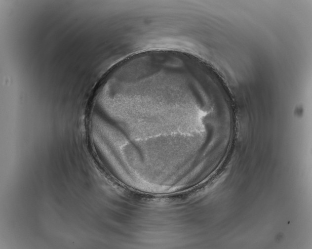 X0000097611497200803211711