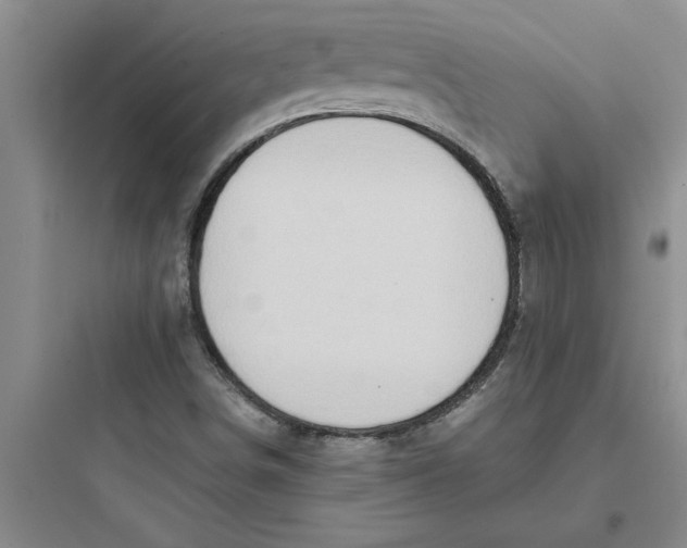 X0000097611498200803211711