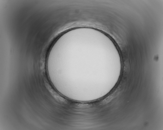 X0000097611499200803211711