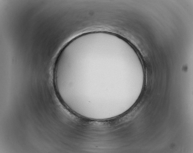 X0000097611500200803211711